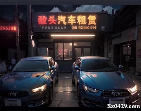 綏中酸頭汽車租賃 便捷出行，專業(yè)服務